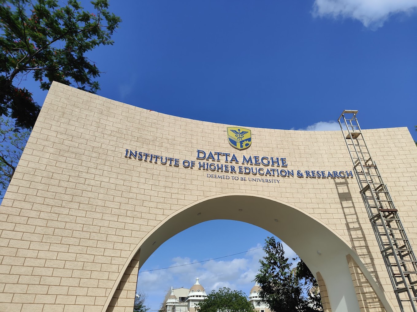 Transcript from Datta Meghe Institute of Higher Education & Research – Get It in 20 Days with FACTS Transcripts